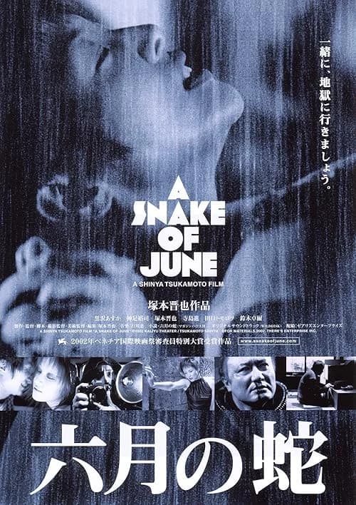 A Snake of June film posteri